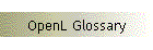 OpenL Glossary